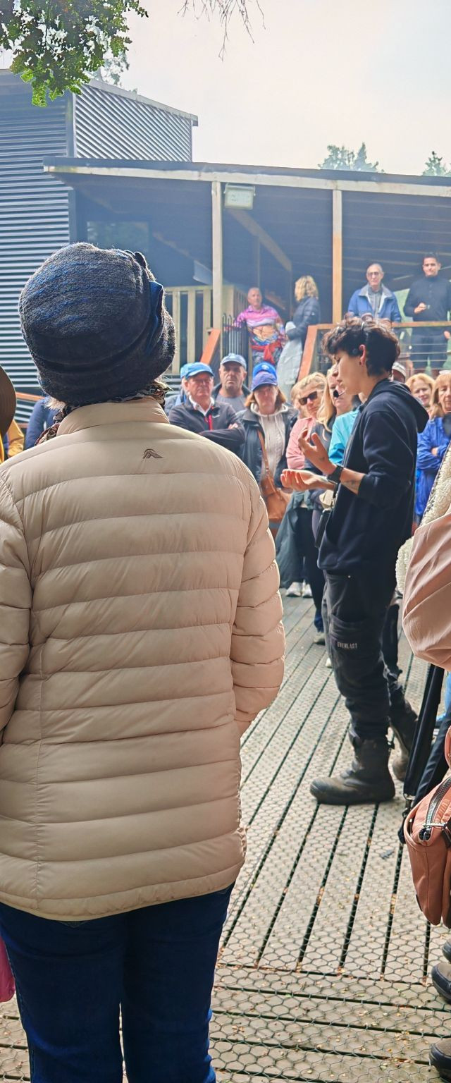 关于塔斯马尼亚联主场气氛火爆，球迷助威成强大后盾的信息